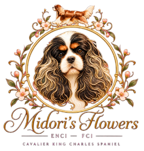 Midori’s Flowers
